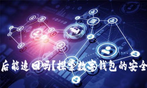 TPWallet被盗后能追回吗？探索数字钱包的安全性与防范措施