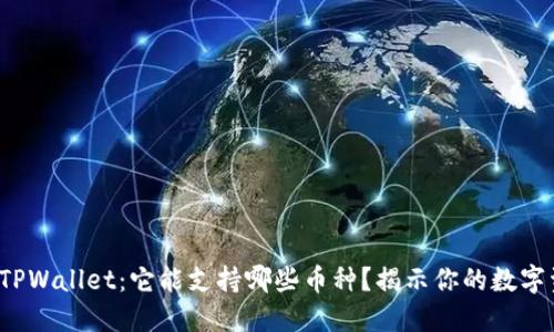 #### TPWallet：它能支持哪些币种？揭示你的数字资产潜力！