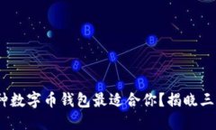 2023年：哪种数字币钱包最适合你？揭晓三大关键