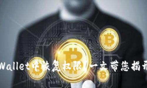 如何在TPWallet中恢复权限？一文带您揭开神秘面纱