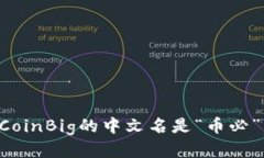 CoinBig的中文名是“币必”。