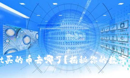 你在TPWallet买的币去哪了？揭秘你的数字资产管理之道