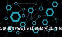 如何在电脑上使用TPWallet？揭秘可操作的步骤与技