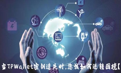   
当TPWallet密钥遗失时，您该如何逆转困境？