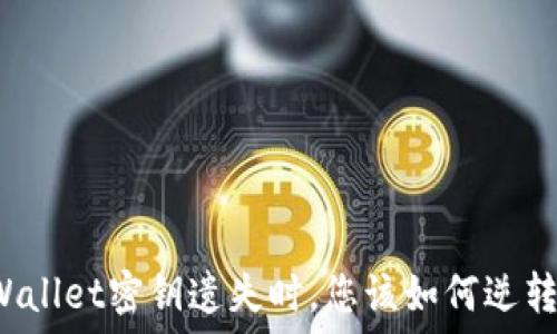   
当TPWallet密钥遗失时，您该如何逆转困境？