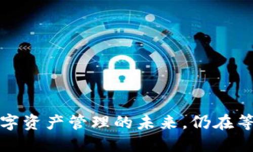 TPWallet：数字资产管理的未来，仍在等待谁的到来？