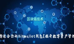 如何选择适合你的Bitwallet钱包？揭开数字资产管