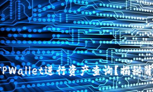 如何使用TPWallet进行资产查询？揭秘背后的秘密！