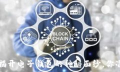   TPWallet：揭开电子钱包的神秘面纱，你准备好了