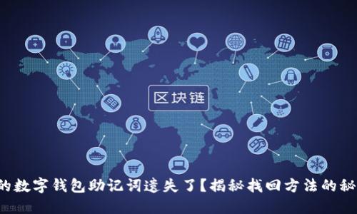 你的数字钱包助记词遗失了？揭秘找回方法的秘密！