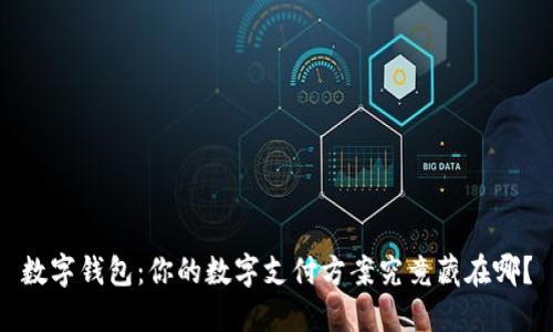 数字钱包：你的数字支付方案究竟藏在哪？