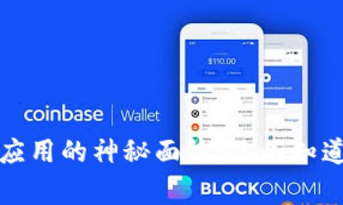 揭开钱包手机应用的神秘面纱：你不知道的安全小常识