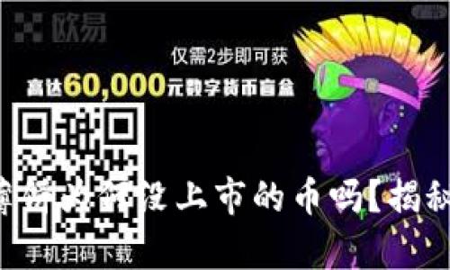 你知道tpwallet里的薄饼为何没上市的币吗？揭秘背后不为人知的秘密！