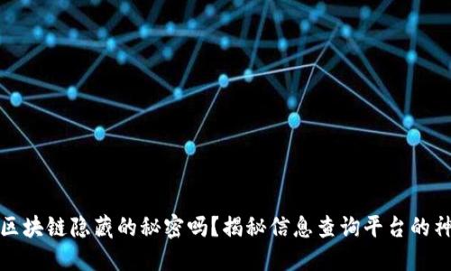 你知道区块链隐藏的秘密吗？揭秘信息查询平台的神秘面纱