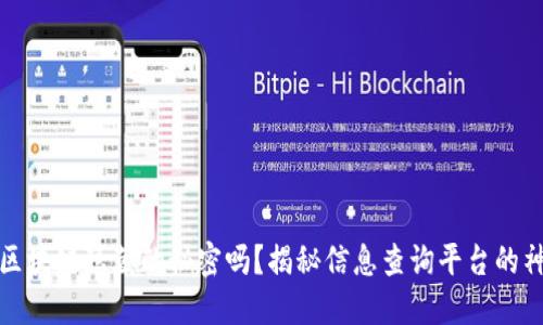 你知道区块链隐藏的秘密吗？揭秘信息查询平台的神秘面纱