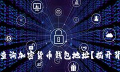 如何安全查询加密货币钱包地址？揭开背后的秘