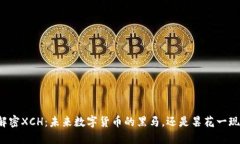解密XCH：未来数字货币的黑马，还是昙花一现？