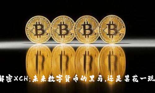 解密XCH：未来数字货币的黑马，还是昙花一现？