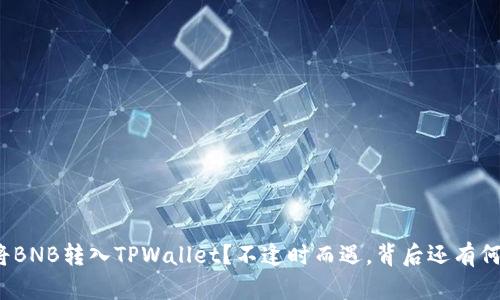 如何将BNB转入TPWallet？不逢时而遇，背后还有何秘密？