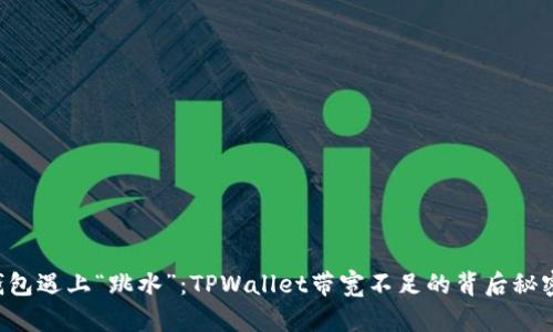 当数字钱包遇上“跳水”：TPWallet带宽不足的背后秘密是什么？