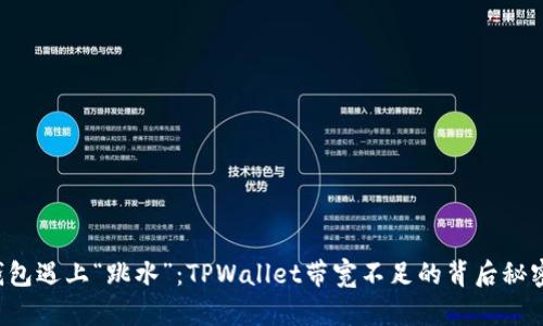 当数字钱包遇上“跳水”：TPWallet带宽不足的背后秘密是什么？