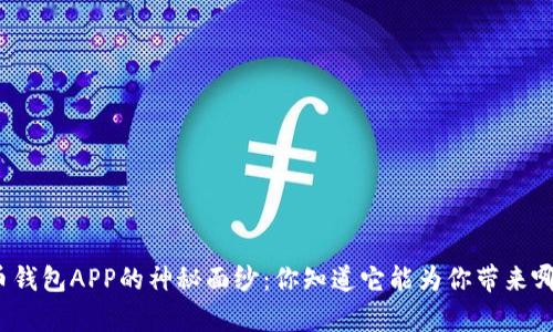 揭开虚拟币钱包APP的神秘面纱：你知道它能为你带来哪些惊喜吗？