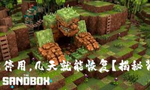 数字钱包被停用，几天就能恢复？揭秘背后的真相！