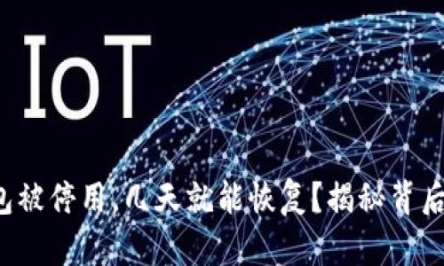数字钱包被停用，几天就能恢复？揭秘背后的真相！