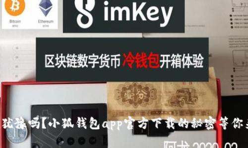 你还在犹豫吗？小狐钱包app官方下载的秘密等你来揭晓！