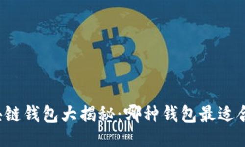 区块链钱包大揭秘：哪种钱包最适合你？