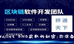 揭秘TPWallet BNB获取的秘密：你准备好了吗？