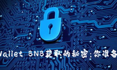 揭秘TPWallet BNB获取的秘密：你准备好了吗？