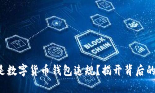 什么是数字货币钱包违规？揭开背后的秘密！