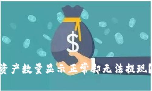 为何TPWallet资产数量显示正常却无法提现？揭秘背后原因！