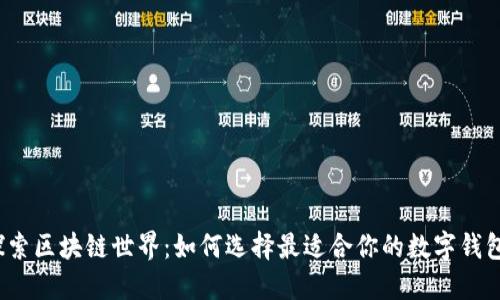 探索区块链世界：如何选择最适合你的数字钱包？