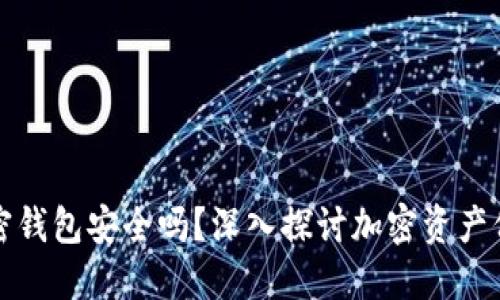 小狐狸加密钱包安全吗？深入探讨加密资产保护的秘密