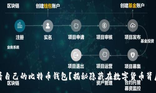 如何查看自己的比特币钱包？揭秘隐藏在数字货币背后的秘密
