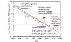 当你发现TPWallet中的BNB被盗时，我们该如何应对？