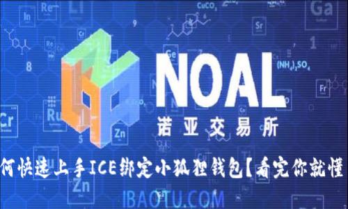 如何快速上手ICE绑定小狐狸钱包？看完你就懂了！