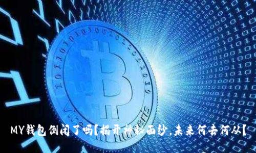 MY钱包倒闭了吗？揭开神秘面纱，未来何去何从？