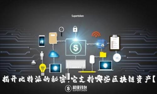 揭开比特派的秘密：它支持哪些区块链资产？