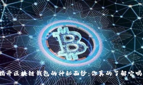 揭开区块链钱包的神秘面纱：你真的了解它吗？