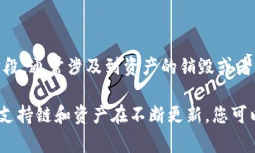 在TPWallet中，火葬链（通常指的是Burn Chain）并不是一个正式的名称，而是可能用于描述某些加密资产生命周期中的一个阶段，通常涉及到资产的销毁或者无法再使用的状态。在区块链的语境中，“火葬”这一概念常常与Token的销毁有关，以减少周转供给，从而影响市场价格及流动性。

如果你在寻找具体的“火葬链”相关信息，建议确认一下具体的名称或提供更多的上下文，以便获得更加准确的答案。TPWallet的支持链和资产在不断更新，您可以通过官方渠道或社区获得最新的信息。