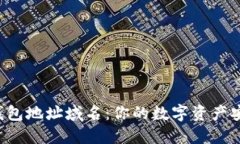 区块链钱包地址域名：你的数字资产安全之门？