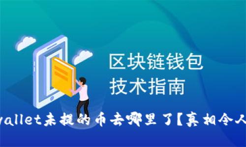 思考  
   tpwallet未提的币去哪里了？真相令人震惊! 