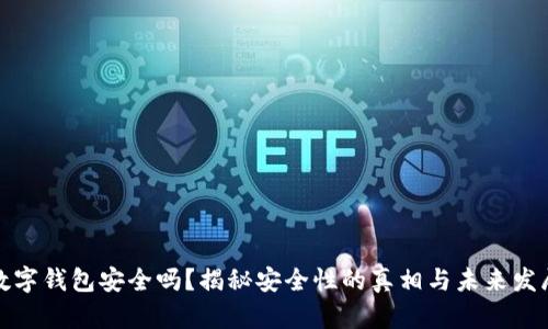 数字钱包安全吗？揭秘安全性的真相与未来发展