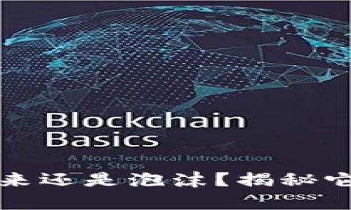 ### PI币：未来还是泡沫？揭秘它的前景与价值！