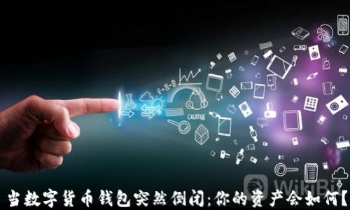 
当数字货币钱包突然倒闭：你的资产会如何？