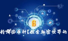 TPWallet支持哪些币种？探索加密世界的无限可能性