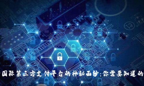 揭开国际第三方支付平台的神秘面纱：你需要知道的一切